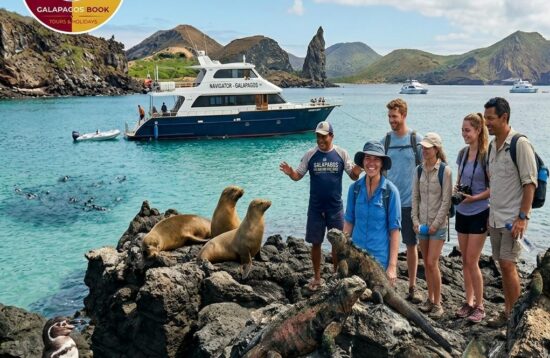 Galapagos Island Hopping Tour & Land Base Tour Package