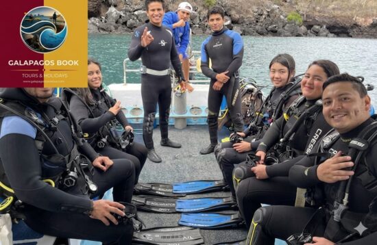 Tour Kicker Rock Diving