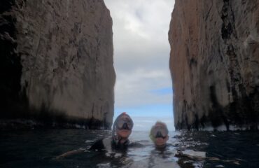 sea lions resting on a sandy beach during the San Cristobal 360 tour.