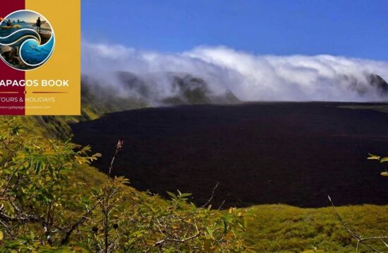 Volcan Tour Sierra Negra Day tour in Isabela
