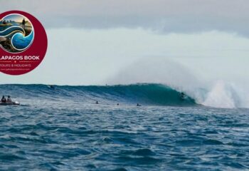 Top-rated private surf lessons in San Cristóbal, Galapagos. Safe, fun, and tailored for beginners. Surfboards & expert coaching included. Book your spot today!