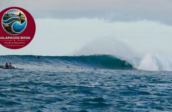 Top-rated private surf lessons in San Cristóbal, Galapagos. Safe, fun, and tailored for beginners. Surfboards & expert coaching included. Book your spot today!"