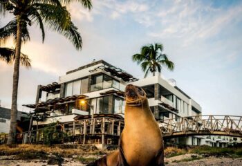 Galapagos Islands Budget- Bay view