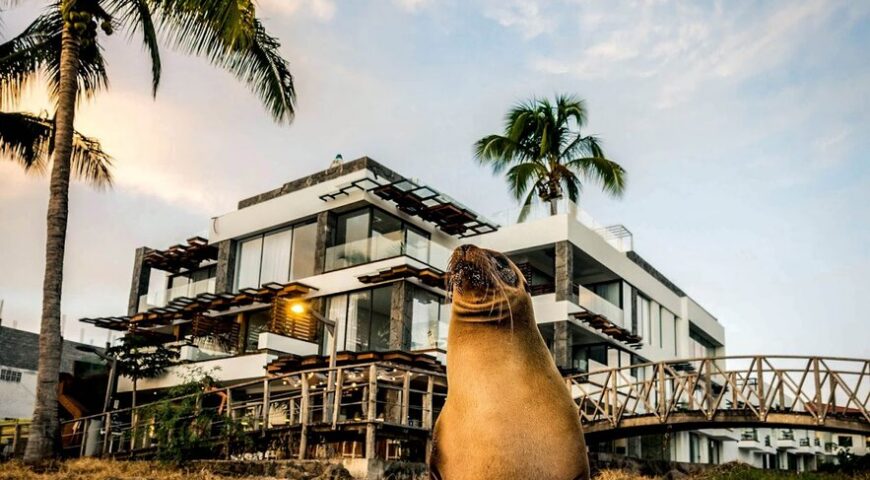 Galapagos Islands Budget- Bay view