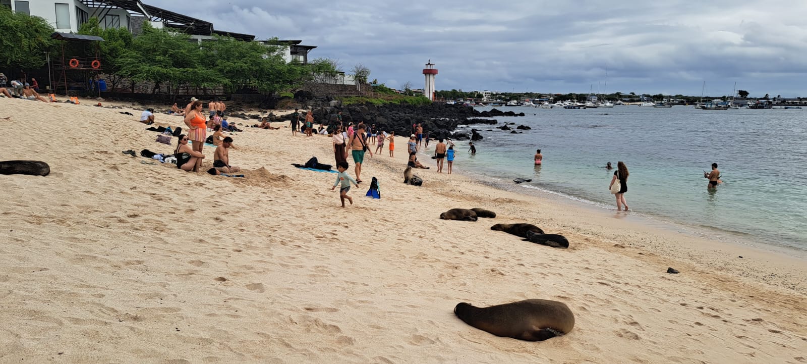 Playa man on San Cristobal Galapagos Island one day at the local beach 