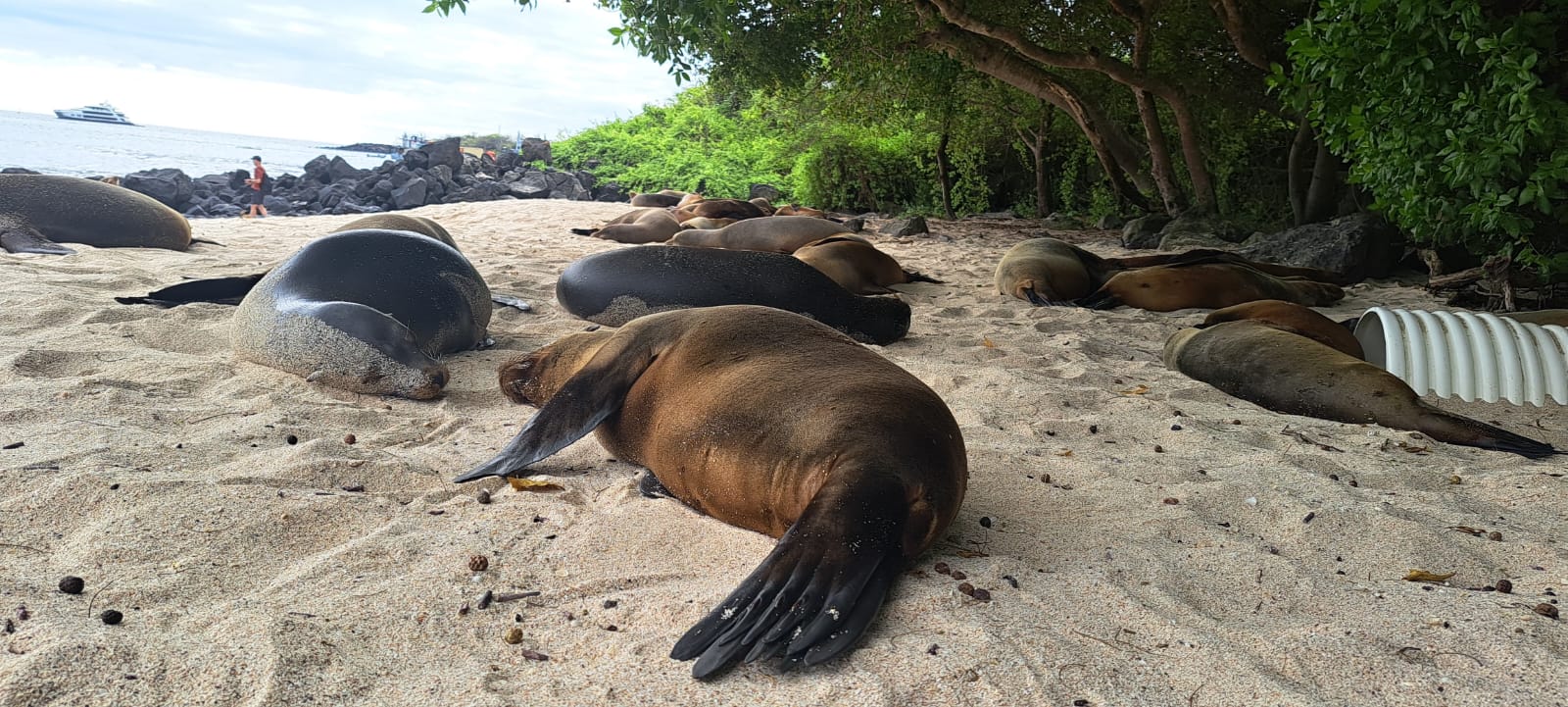 Free Things to Do in San Cristóbal, Galápagos