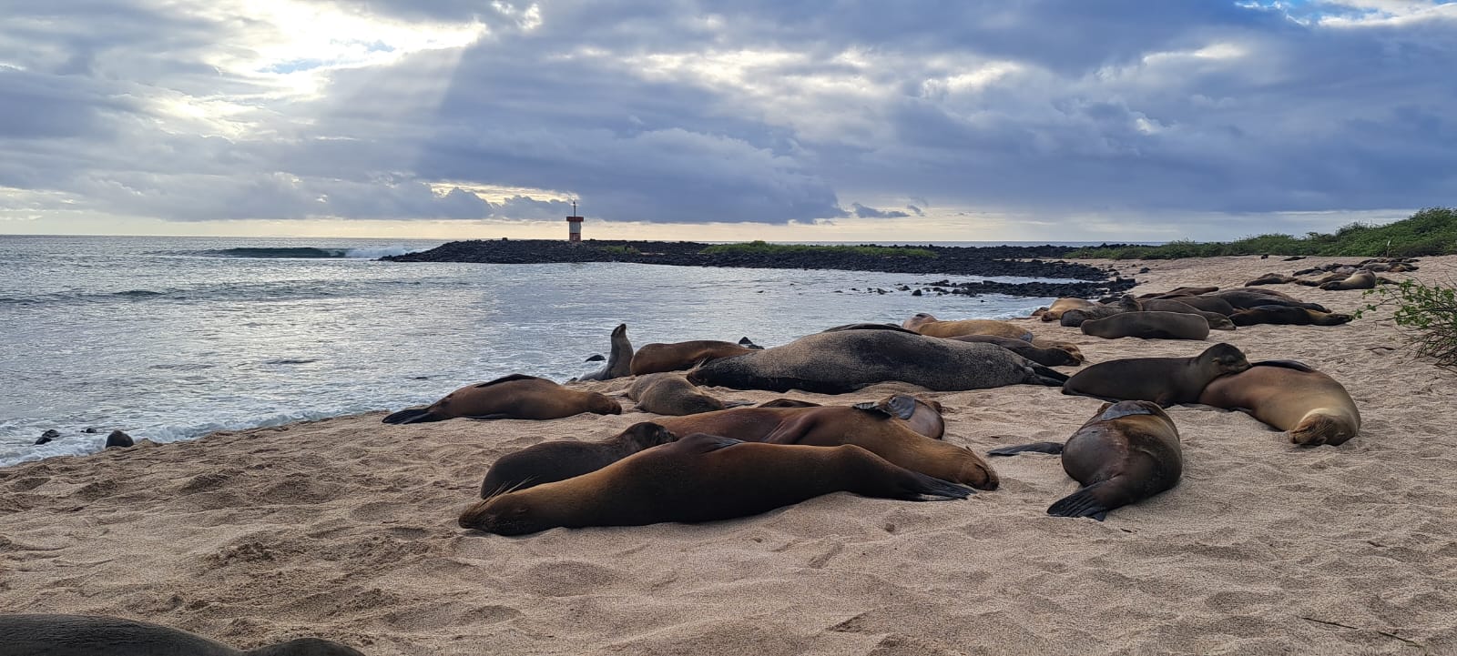 Luxury yacht cruising around Galapagos Islands for travelers from Singapore and Hong Kong